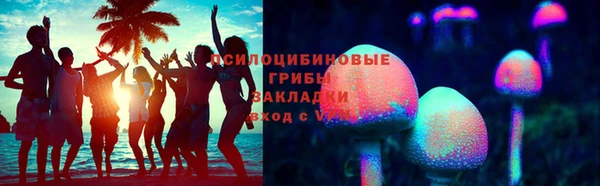 PSILOCYBIN Богородицк