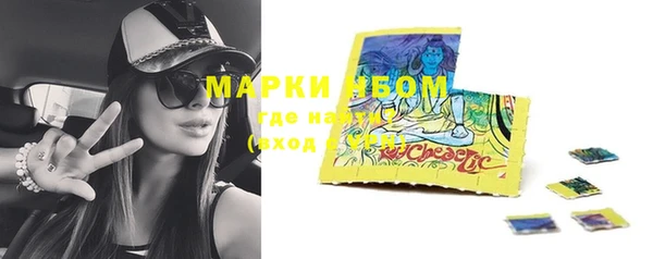 PSILOCYBIN Богородицк