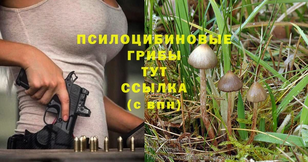 мдма Богородск
