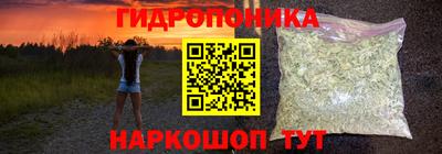 прущие грибы Балашиха
