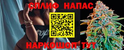 прущие грибы Балашиха