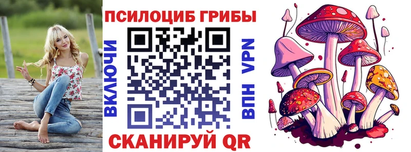 Галлюциногенные грибы Psilocybe  Богородск 