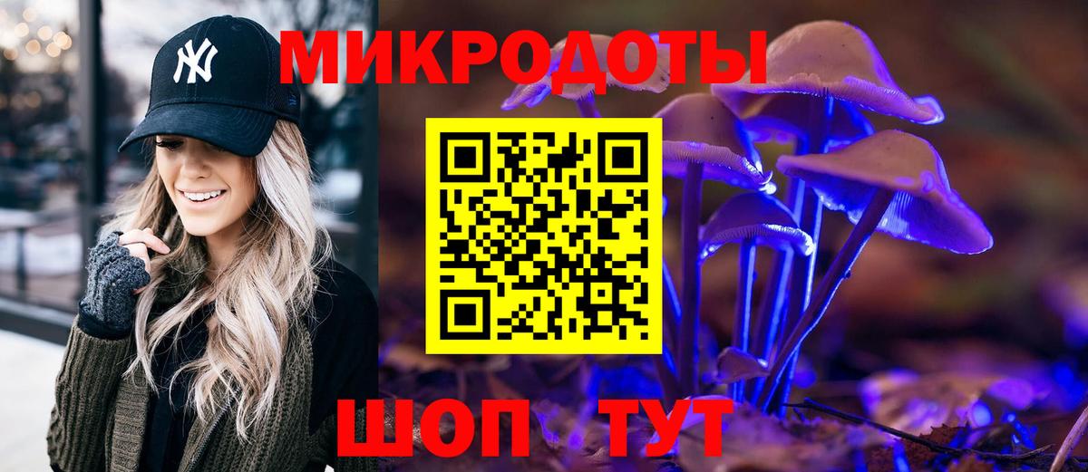 Галлюциногенные грибы Psilocybine cubensis Богородск